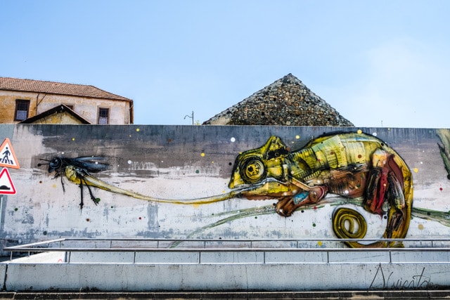 Bragança capital de arte urbano