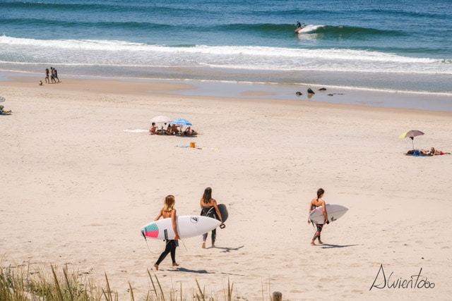 surfistas en Portugal