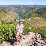 17º Ribeira Sacra Festival, música, paisaje y gastronomía