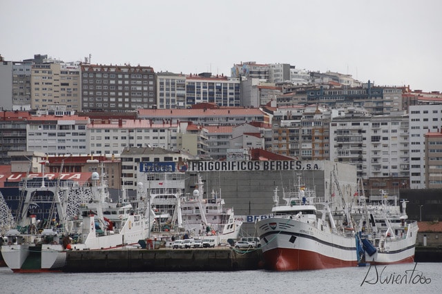 Puerto de Vigo- Vigo Pesqueiro
