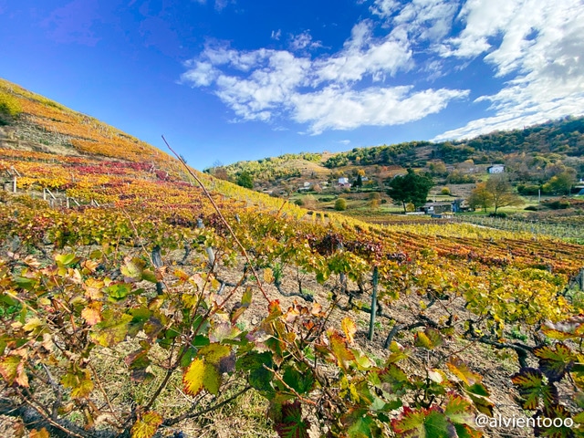 ruta miradores de Ribeira Sacra