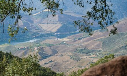 Qué hacer y qué ver en Carrazeda de Ansiães