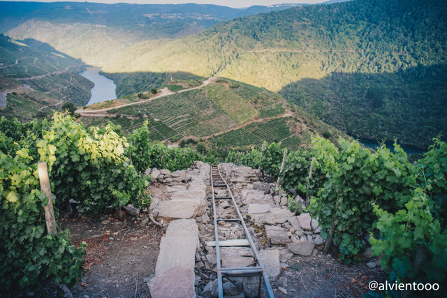 bodegas mas chulas de Ribeira Sacra