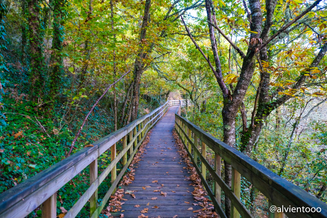 Naturaleza en Ribeira Sacra