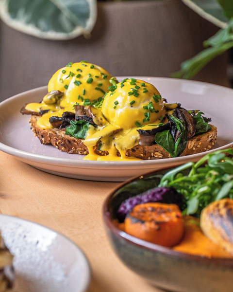 Camélia - Brunch Garden