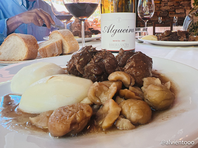viña algueira visita a bodega