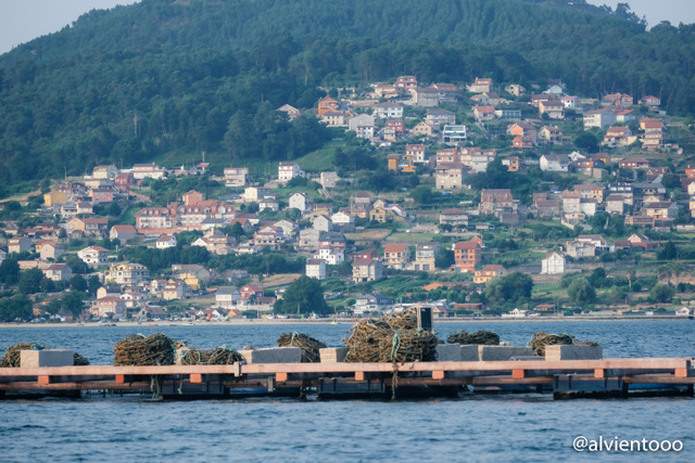 rutas en barco por la ría de vigo