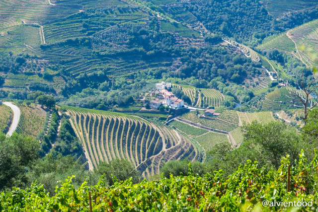 Douro Vinhateiro, Património Mundial de la Humanidad.