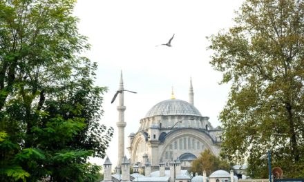 Elegir un seguro de viaje para Turquía