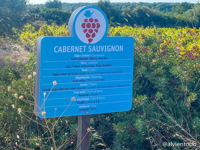 vinos de tenedos en turquia