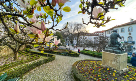 Qué ver en Viseu en un fin de semana, lugares imprescindibles