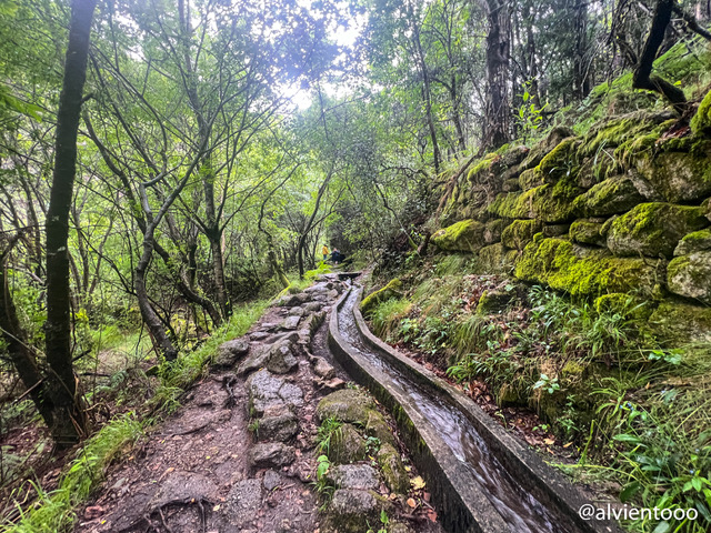 Cascada de Pincães,