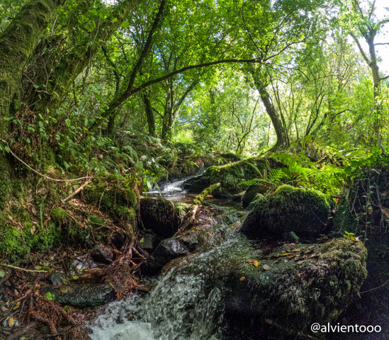 Ruta da Pedra e da Auga
