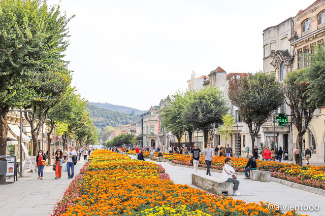 Qué ver en Braga en Portugal