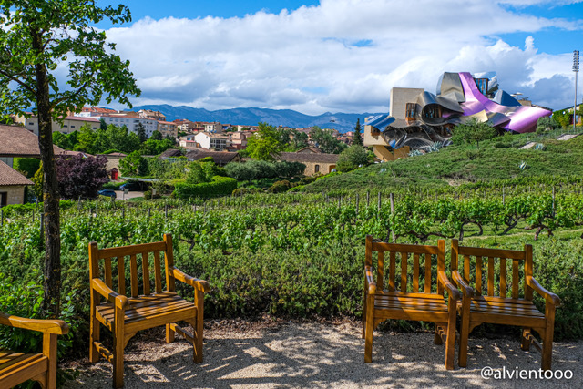 reservar el hotel marques de riscal