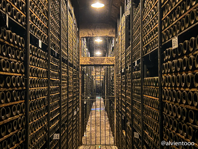 Un Viaje a Través de la Historia de Marqués de Riscal