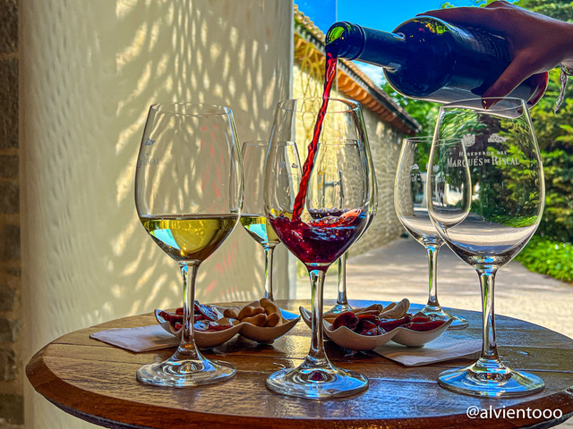 cata de vinos en marques de riscal