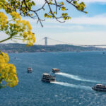 Navegar por el Bósforo: Descubre las Mansiones Históricas y el encanto de Estambul