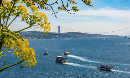 Navegar por el Bósforo: Descubre las Mansiones Históricas y el encanto de Estambul