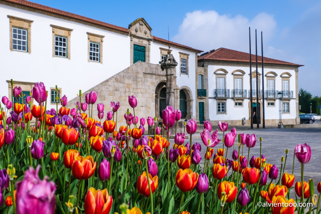 Navio Gil Eanes en Viana