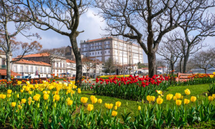Vila do Conde: Qué ver y hacer en este lugar con encanto en la costa de Portugal