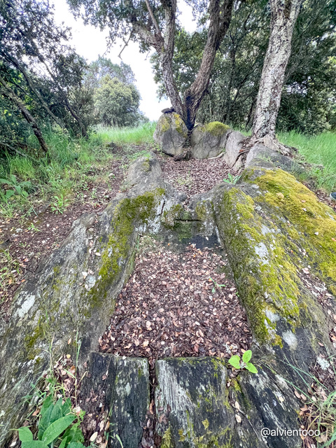 Lagares rupestres romanos en Larouco