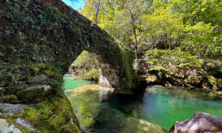 O Ribeiro – O Carballiño: vinos únicos, aguas termales y secretos gallegos por descubrir