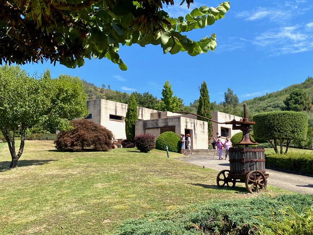 bodega de roberto verino