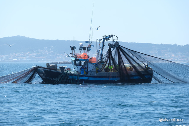 Ruta vino Rias Baixas 