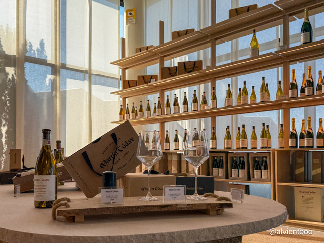 Visita a bodega Martin Codax