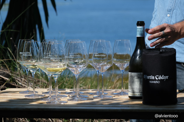 Visitar bodega en Sanxenxo