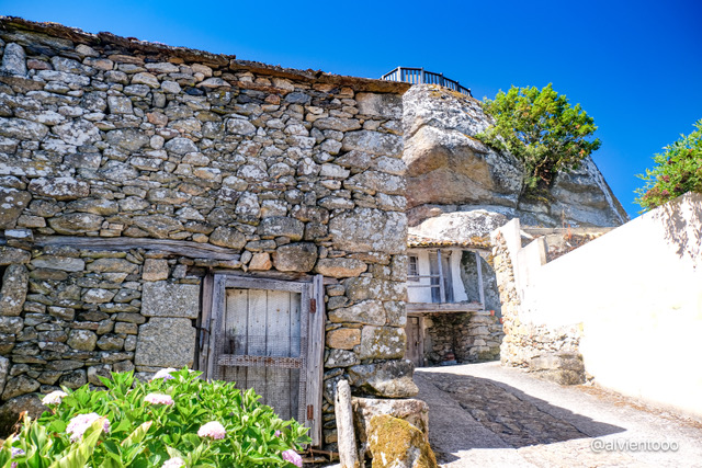pena folenche trives