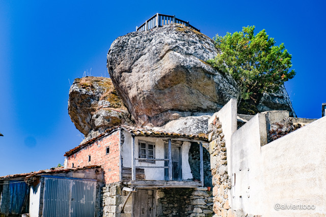 pena folenche trives