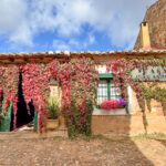 Ruta por León: una escapada entre historia, montañas y los Fiordos Leoneses
